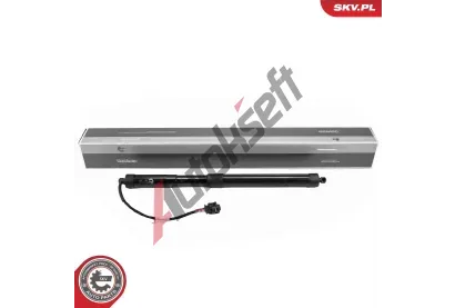 ESEN SKV Elektromotor, zadn dvee ESN 52SKV189, 52SKV189