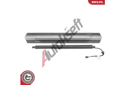 ESEN SKV Elektromotor, zadn� dve�e ESN 52SKV194, 52SKV194