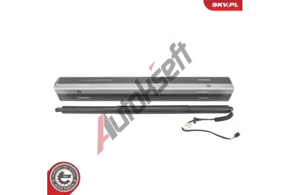 ESEN SKV Elektromotor, zadní dveře ESN 52SKV196, 52SKV196 ESEN SKV Elektromotor, zadní dveře ESN 52SKV196, 52SKV196