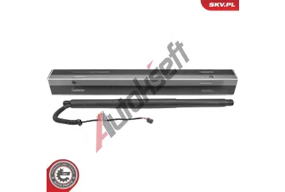 ESEN SKV Elektromotor, zadn dvee ESN 52SKV198, 52SKV198