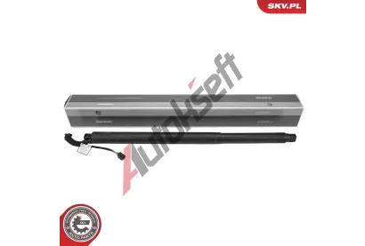 ESEN SKV Elektromotor, zadn dvee ESN 52SKV201, 52SKV201