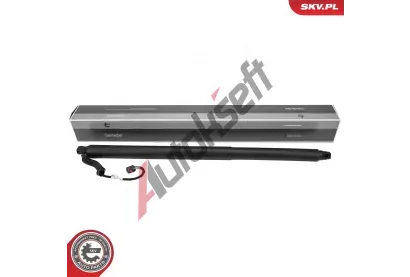 ESEN SKV Elektromotor, zadní dveře ESN 52SKV202, 52SKV202 ESEN SKV Elektromotor, zadní dveře ESN 52SKV202, 52SKV202