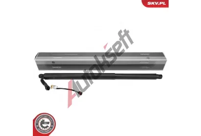 ESEN SKV Elektromotor, zadn dvee ESN 52SKV203, 52SKV203