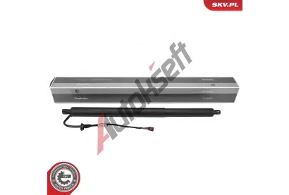 ESEN SKV Elektromotor, zadn� dve�e ESN 52SKV204, 52SKV204