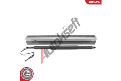 ESEN SKV Elektromotor, zadn� dve�e ESN 52SKV208, 52SKV208