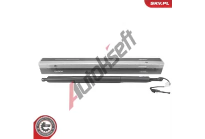 ESEN SKV Elektromotor, zadn� dve�e ESN 52SKV209, 52SKV209