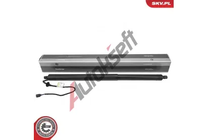 ESEN SKV Elektromotor, zadn� dve�e ESN 52SKV218, 52SKV218