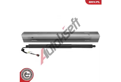 ESEN SKV Elektromotor, zadn dvee ESN 52SKV219, 52SKV219