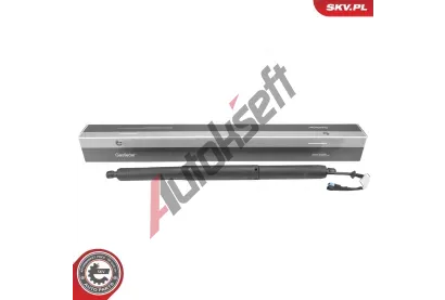 ESEN SKV Elektromotor, zadn� dve�e ESN 52SKV232, 52SKV232