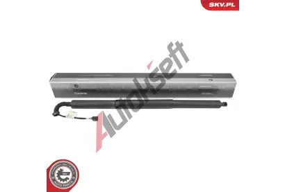 ESEN SKV Elektromotor, zadn� dve�e ESN 52SKV236, 52SKV236