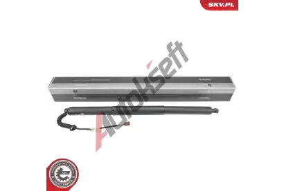 ESEN SKV Elektromotor, zadn dvee ESN 52SKV237, 52SKV237