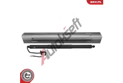 ESEN SKV Elektromotor, zadn dvee ESN 52SKV241, 52SKV241