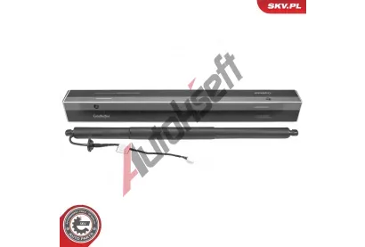 ESEN SKV Elektromotor, zadn� dve�e ESN 52SKV242, 52SKV242