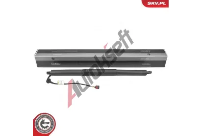 ESEN SKV Elektromotor, zadn dvee ESN 52SKV247, 52SKV247