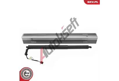 ESEN SKV Elektromotor, zadní dveře ESN 52SKV248, 52SKV248 ESEN SKV Elektromotor, zadní dveře ESN 52SKV248, 52SKV248