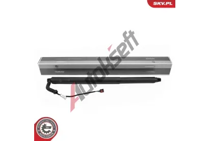 ESEN SKV Elektromotor, zadn dvee ESN 52SKV252, 52SKV252