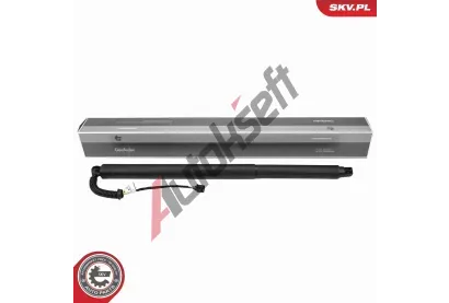 ESEN SKV Elektromotor, zadn� dve�e ESN 52SKV253, 52SKV253