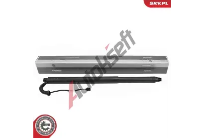 ESEN SKV Elektromotor, zadn dvee ESN 52SKV254, 52SKV254