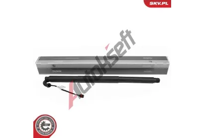 ESEN SKV Elektromotor, zadn� dve�e ESN 52SKV255, 52SKV255