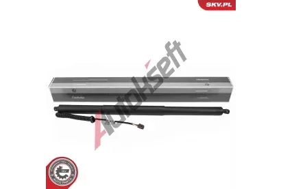 ESEN SKV Elektromotor, zadn� dve�e ESN 52SKV257, 52SKV257