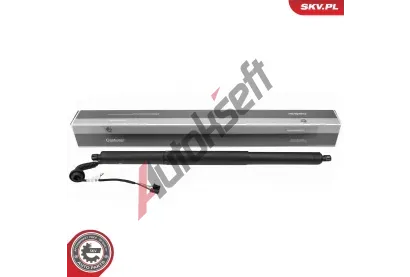 ESEN SKV Elektromotor, zadn dvee ESN 52SKV258, 52SKV258