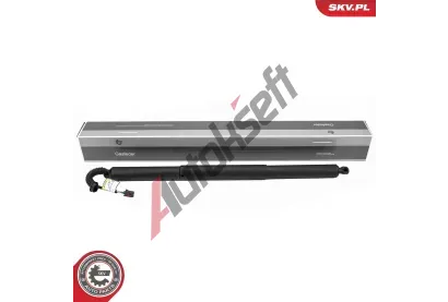 ESEN SKV Elektromotor, zadn dvee ESN 52SKV259, 52SKV259