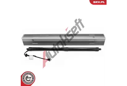 ESEN SKV Elektromotor, zadn� dve�e ESN 52SKV261, 52SKV261