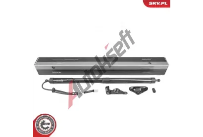 ESEN SKV Elektromotor, zadn� dve�e ESN 52SKV263, 52SKV263