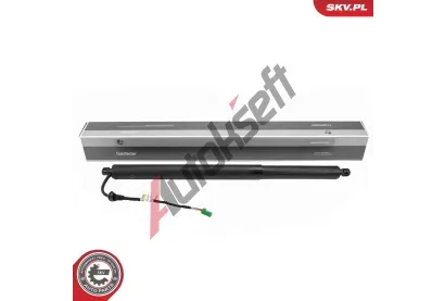 ESEN SKV Elektromotor, zadn dvee ESN 52SKV264, 52SKV264