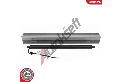 ESEN SKV Elektromotor, zadní dveře ESN 52SKV265, 52SKV265 ESEN SKV Elektromotor, zadní dveře ESN 52SKV265, 52SKV265