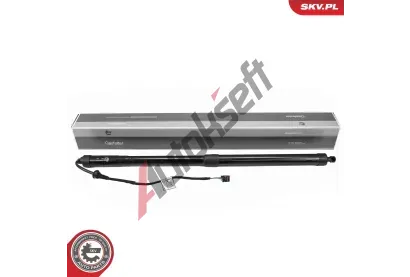 ESEN SKV Elektromotor, zadní dveře ESN 52SKV266, 52SKV266 ESEN SKV Elektromotor, zadní dveře ESN 52SKV266, 52SKV266