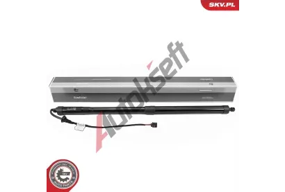 ESEN SKV Elektromotor, zadn dvee ESN 52SKV267, 52SKV267