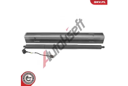 ESEN SKV Elektromotor, zadní dveře ESN 52SKV268, 52SKV268 ESEN SKV Elektromotor, zadní dveře ESN 52SKV268, 52SKV268