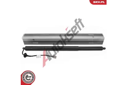 ESEN SKV Elektromotor, zadn dvee ESN 52SKV269, 52SKV269