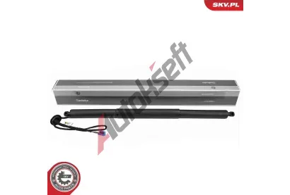 ESEN SKV Elektromotor, zadn dvee ESN 52SKV271, 52SKV271