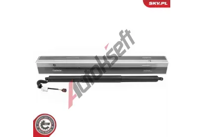 ESEN SKV Elektromotor, zadn� dve�e ESN 52SKV276, 52SKV276