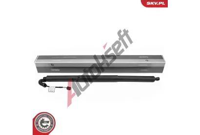 ESEN SKV Elektromotor, zadn� dve�e ESN 52SKV277, 52SKV277