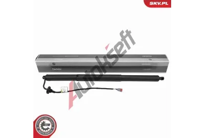 ESEN SKV Elektromotor, zadn dvee ESN 52SKV278, 52SKV278