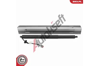 ESEN SKV Elektromotor, zadní dveře ESN 52SKV279, 52SKV279 ESEN SKV Elektromotor, zadní dveře ESN 52SKV279, 52SKV279