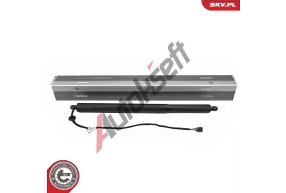 ESEN SKV Elektromotor, zadn dvee ESN 52SKV281, 52SKV281