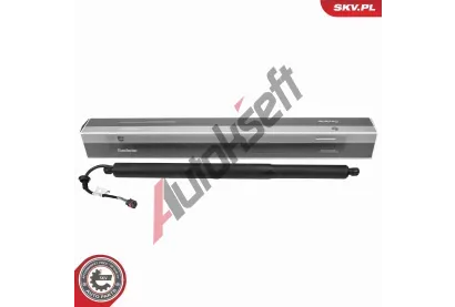 ESEN SKV Elektromotor, zadn� dve�e ESN 52SKV283, 52SKV283