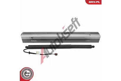 ESEN SKV Elektromotor, zadn� dve�e ESN 52SKV286, 52SKV286