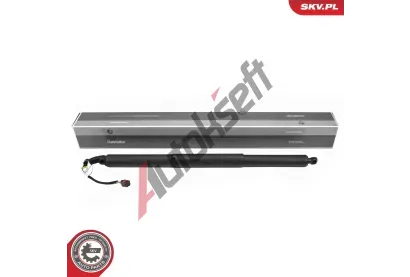 ESEN SKV Elektromotor, zadní dveře ESN 52SKV287, 52SKV287 ESEN SKV Elektromotor, zadní dveře ESN 52SKV287, 52SKV287