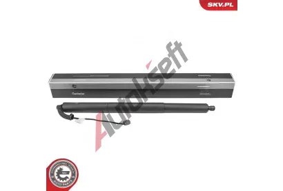 ESEN SKV Elektromotor, zadn� dve�e ESN 52SKV289, 52SKV289