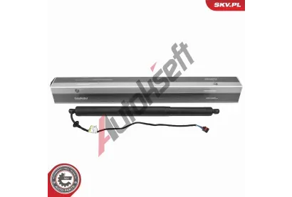 ESEN SKV Elektromotor, zadn dvee ESN 52SKV290, 52SKV290