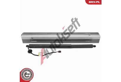 ESEN SKV Elektromotor, zadn dvee ESN 52SKV292, 52SKV292