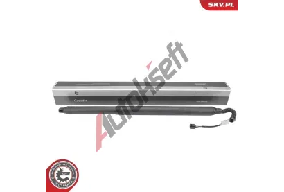 ESEN SKV Elektromotor, zadn� dve�e ESN 52SKV293, 52SKV293