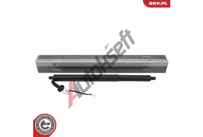 ESEN SKV Elektromotor, zadn dvee ESN 52SKV298, 52SKV298