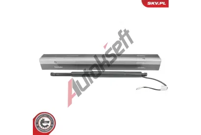 ESEN SKV Elektromotor, zadn� dve�e ESN 52SKV299, 52SKV299