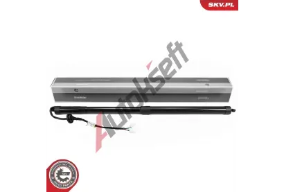 ESEN SKV Elektromotor, zadn dvee ESN 52SKV300, 52SKV300